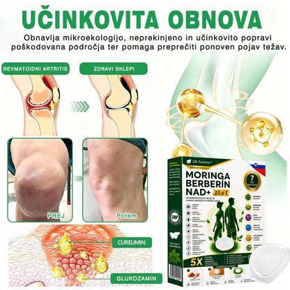 💎DR.Fachmer® Moringa Berberine NAD+ 15-v-1 obliž z nano-mikroiglami | Nova generacija nege telesa z napredno nano formulo