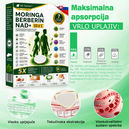 👍DR.Fachmer® Moringa Berberine NAD+ 15-v-1 obliž z nano-mikroiglami | Nova generacija nege telesa z napredno nano formulo👍