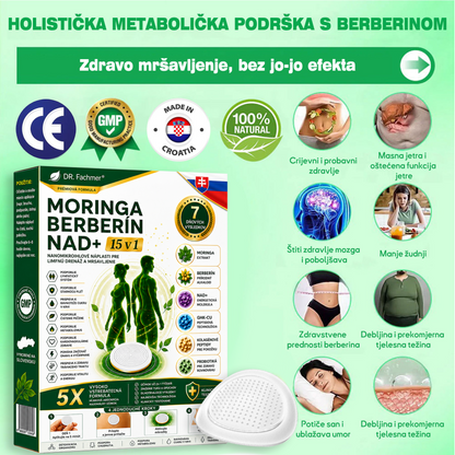 👍DR.Fachmer® Moringa Berberine NAD+ 15-v-1 obliž z nano-mikroiglami | Nova generacija nege telesa z napredno nano formulo👍