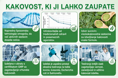 🔥🔥 Nova posodobitev 2026 — 🎁𝑮𝑭𝑶𝑼𝑲® Berberin Nova različica 2026 · Ultra okrepljena izdaja 10 v 1 · Nano obliž z mikroiglicami na osnovi znanstveno podprte formule